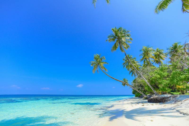 image-destination-paradisiaque